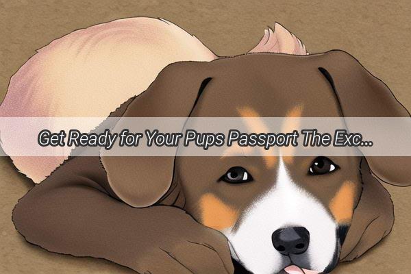 Get Ready for Your Pups Passport The Exciting World of Pet Travel Documents